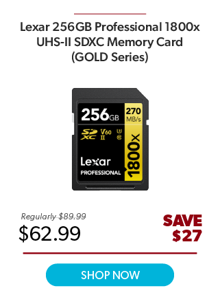 Lexar 256GB Pro 1800 Gold