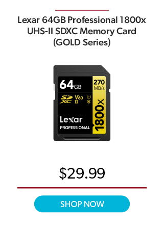 Lexar 64GB Pro 1800 Gold