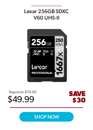 Lexar 256GB V60