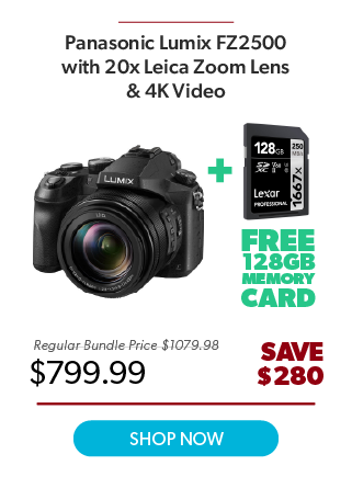 Panasonic FZ2500